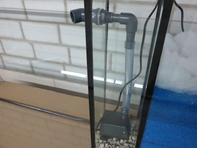 Wie Verstecke Ich Einen Innenfilter Im Aquarium Bio-Innenfilter / Filteranlage im Aquarium - Diamantaquarien – Shop