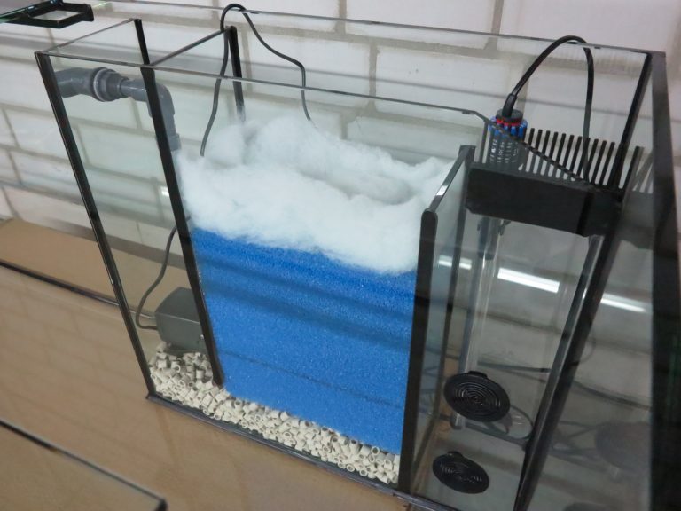Wie Verstecke Ich Einen Innenfilter Im Aquarium Bio-Innenfilter / Filteranlage im Aquarium - Diamantaquarien – Shop