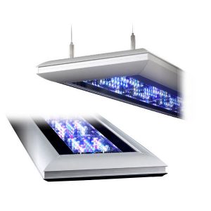 Giesemann LED & T5
