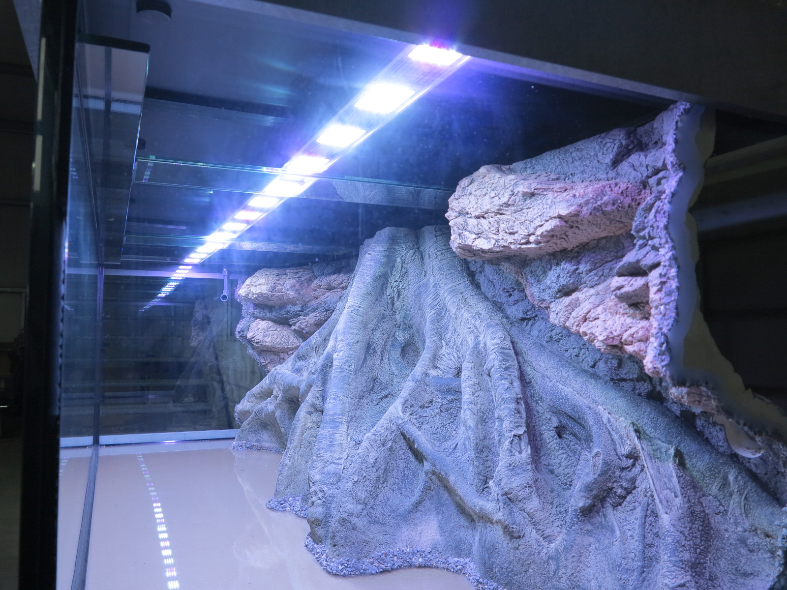Licht & Technik - Bei uns erhalten Sie die passende Beleuchtung für Ihr Süß- oder Meerwasseraquarium. Wir führen Beleuchtungssysteme führender Hersteller und sind Ihnen bei der Wahl einer optimalen Beleuchtung gerne behilflich.