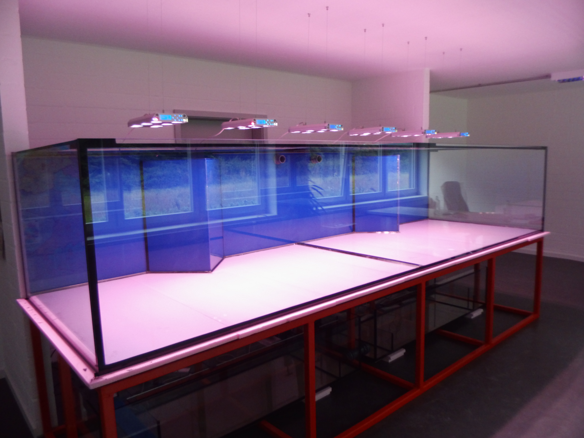 Aquarien XXL - Wir bauen Aquarien in fast allen Größen und Formen nach Ihren Vorgaben. Sollte die gewünschte Größe hier nicht angeboten werden, dann sprechen Sie uns bitte an.

Gerne erstellen wir Ihnen ein Angebot für Ihr Traum-Aquarium