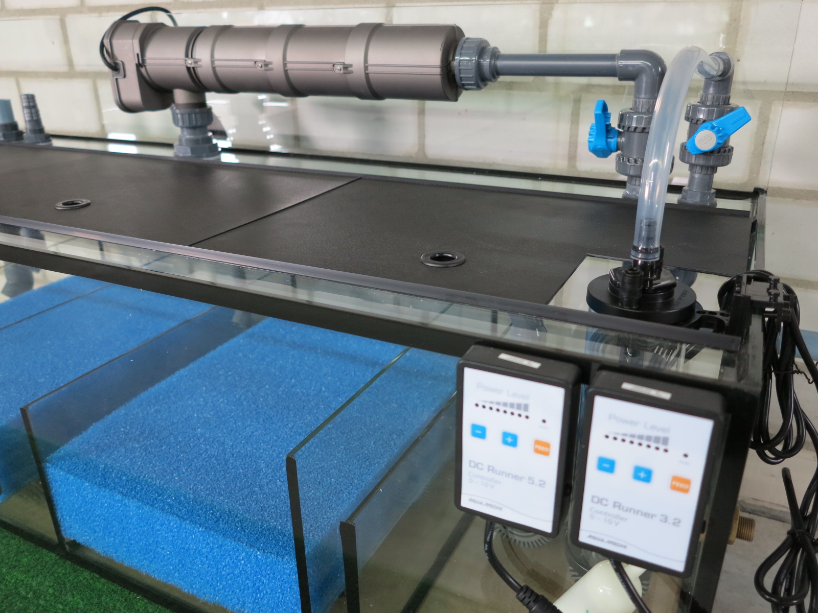 Filter & Technik - Wir fertigen individuelle Profi-Filtersysteme ​für jede Größe von Aquarien. Die Aufteilung der Filterabteile und die Bestückung der Kammern mit Filtermedien wird auf die Bedürfnisse Ihrer Tiere abgestimmt. 

Profitieren Sie von einer über 25 jährigen Erfahrung im Filterbau.

 