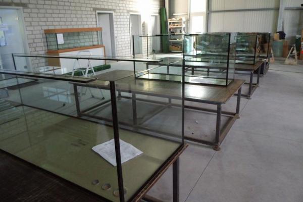 Aquarienbauer