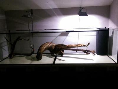 Aquarium 240x70x65cm