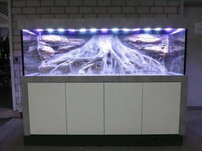 Aquariumanlage Balkensee 200x80x60cm (LxTxH)