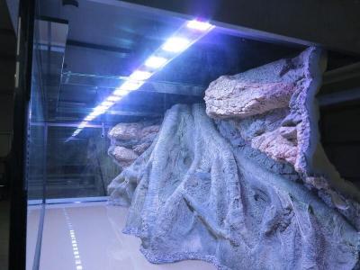 Aquariumanlage Balkensee 200x80x60cm (LxTxH)