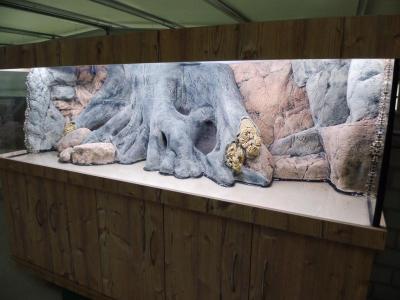 Kombi Diamant 200cm + Amazonas Rückwand