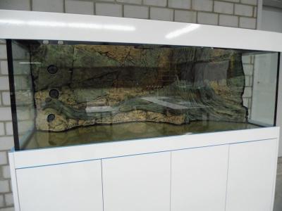 Kombi Modern 160cm mit Amazonas Rückwand