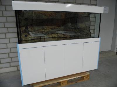 Kombi Modern 160cm mit Amazonas Rückwand