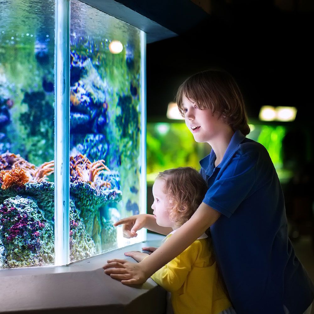 kinder-vor-aquarium